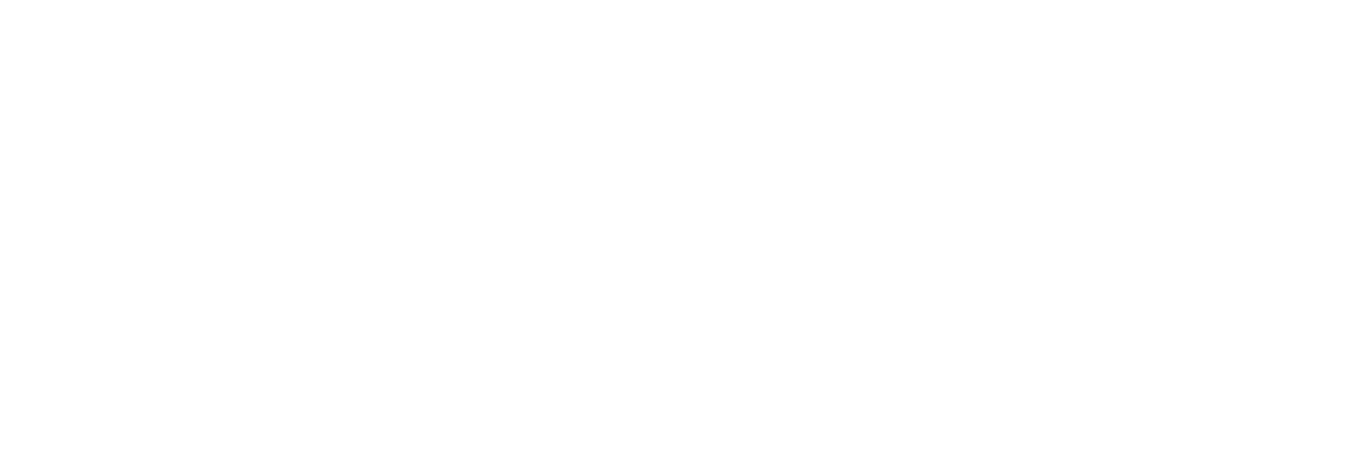 SOKIO·FLISVOS Logo